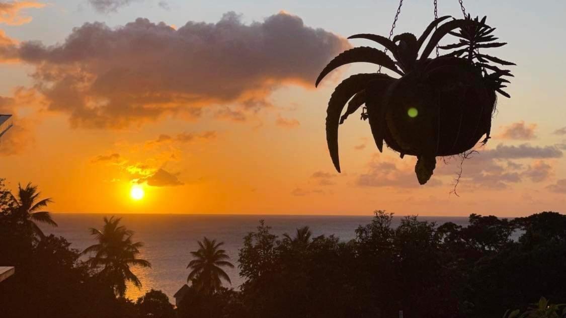 Mabrika Resort Dominica Guillet Exterior foto